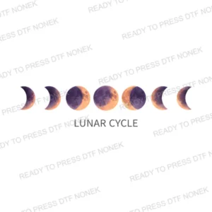 NC2002 – Lunar Cycle